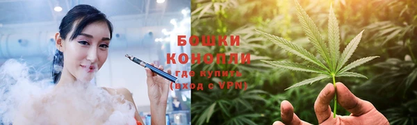 тгк Саяногорск