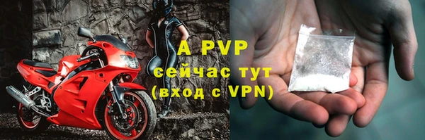 тгк Саяногорск